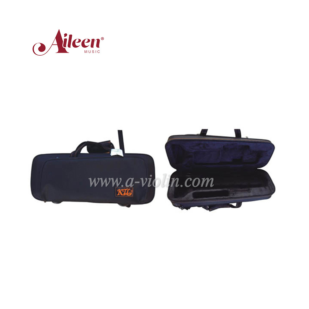 Musical Trumpet Instrument Cases (TPC012)