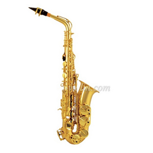 Eb Key Yellow brass Lacquer Surface jinbao alto saxophone (SP200G)