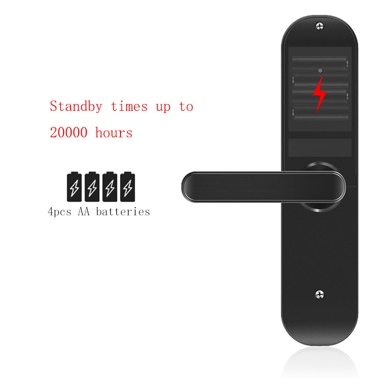 Smartdust Long Battery Life Smart Digital Door Lock