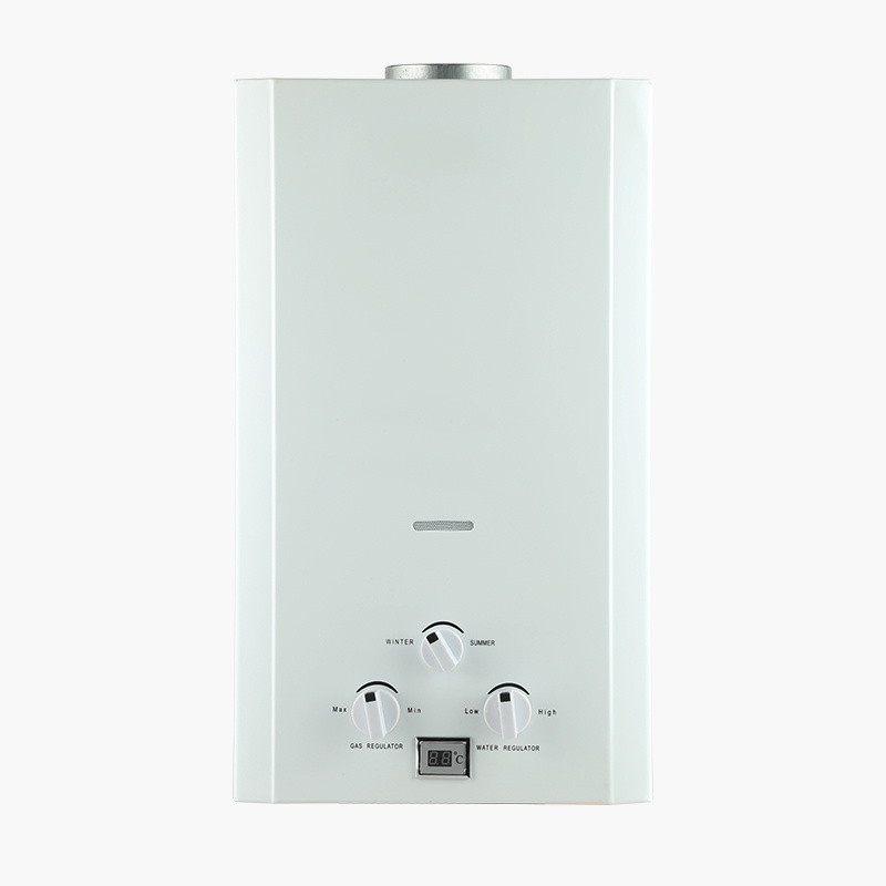 6L 8L Wall-Mounted LPG Propane Gas Geyser Tankless Instant Boiler Water Heater With Shower