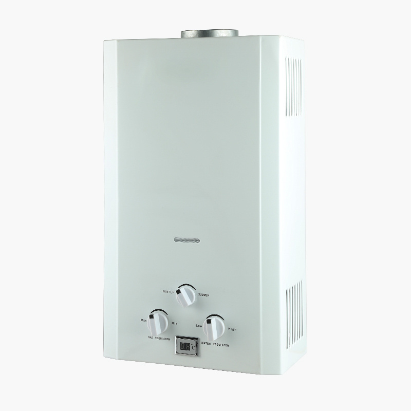 Tankless Instant Hot Water Heater Boiler China Wholesale Gas Water Heater Price