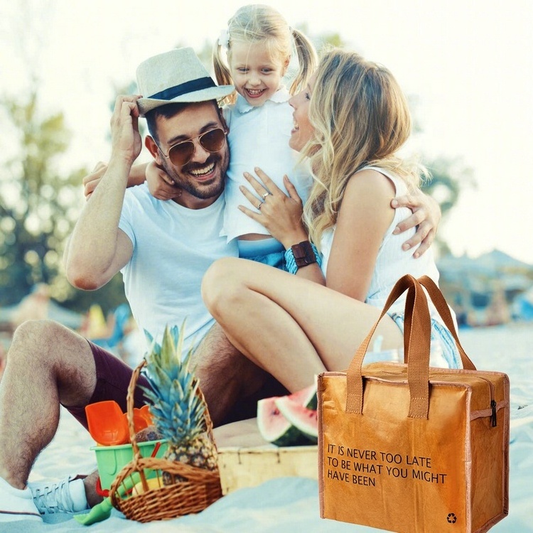 Insulated Tyvek paper lunch bag reusable brown paper bagLeakproof durable snack bags for women and men Lunch Box