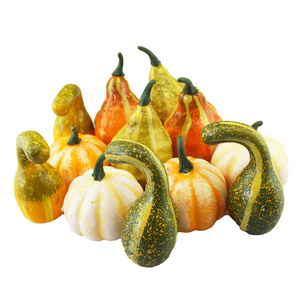 Wholesale Halloween Lifelike Pumpkin Set, Multicolor Mini Foam Simulation Pumpkin Artificial Vegetables,for Home Garden Decor