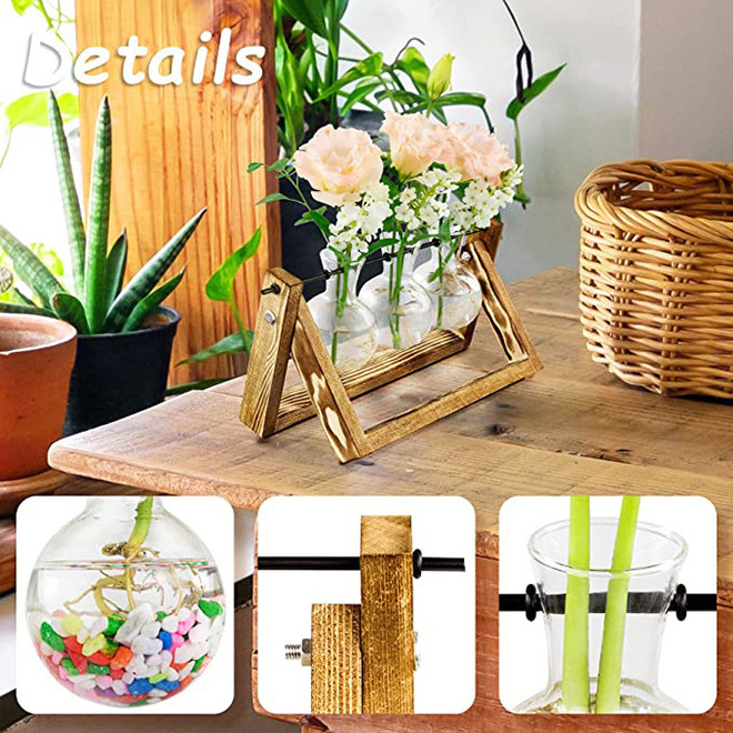 Hot Sale Air Plants Water Plants Holder Propogation Planters Glass Plant Terrarium with Wooden Stand for Garden Lovers Gift Idea