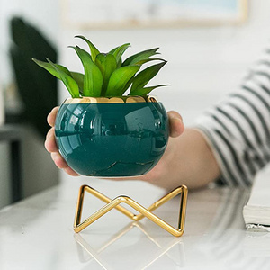 Dropshipping Simple Creative Succulent Planter with Metal Frame Ceramic Plant Pots for Indoor/Outdoor