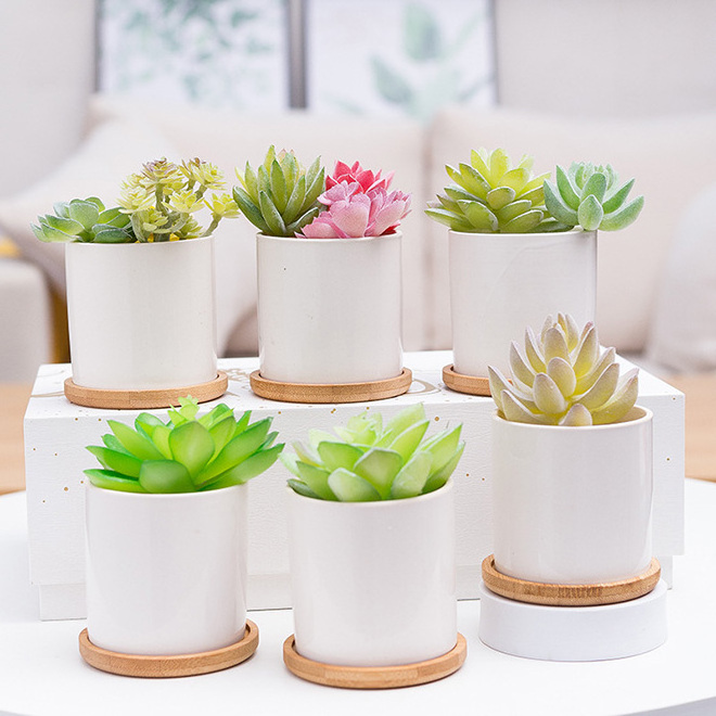 Custom Succulent Planter 3.15/3.55 inch Ceramic Flower Planter Pot with Bamboo Tray Desk Flowerpot in Bulk