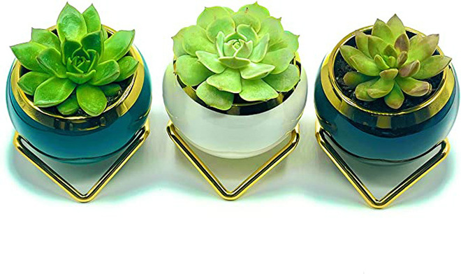 Dropshipping Simple Creative Succulent Planter with Metal Frame Ceramic Plant Pots for Indoor/Outdoor