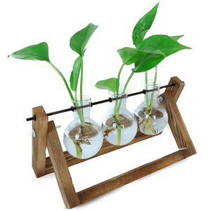 Hot Sale Air Plants Water Plants Holder Propogation Planters Glass Plant Terrarium with Wooden Stand for Garden Lovers Gift Idea