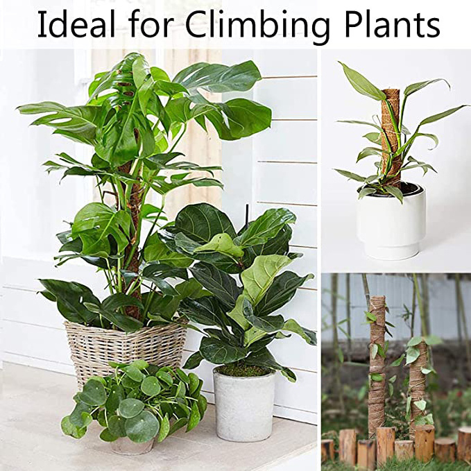 New  Arrivals Plant Climbing Pole Plant Support Oriental Totem Moss Sticks for Indoor Plant Support to Grow Upwards