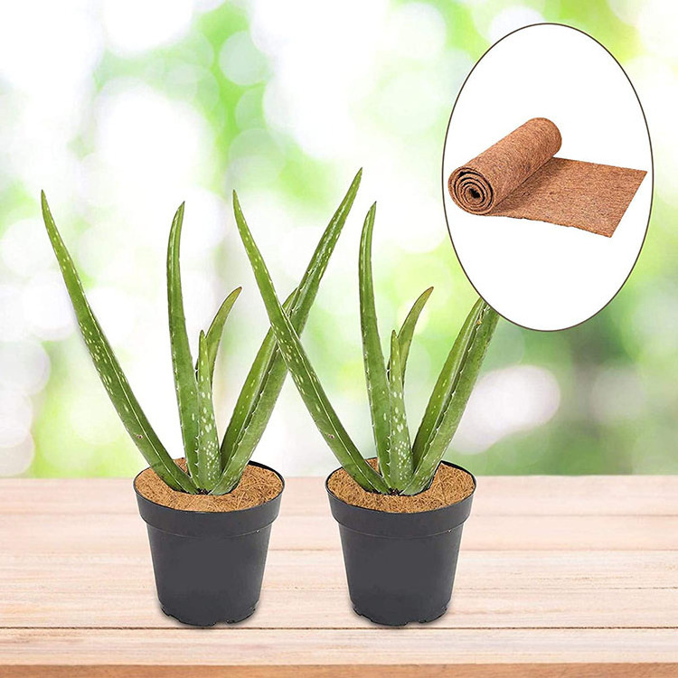 Hot Sale Natural Coconut Palm Silk Floor Mat Door Mat,Flower Pot Padding Fiber Palm Carpet Gardening Supplies Hanging Basket Mat