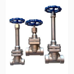 China nitrogen LPG cryogenic short stem flange type globe valve stop control valve low temperature pipe DJ61F DJ41F gas valve