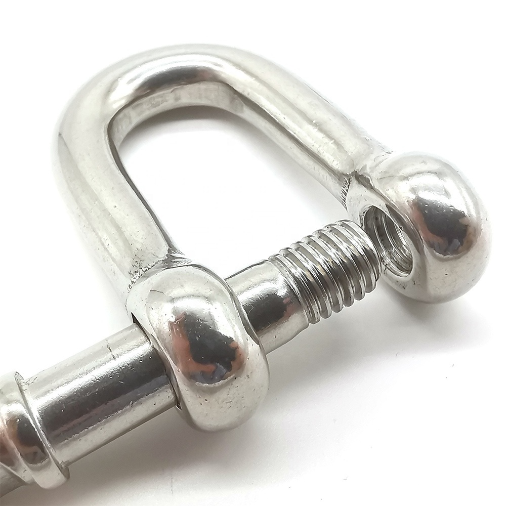 Factory Rigging Hardware 304 Stainless Steel Dee Shape Shackle D Shackle