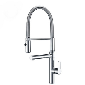 Artistic Brass Faucet High-end Brass Single Lever Spring Kitchen Single Holes Handle Sink Water Faucet