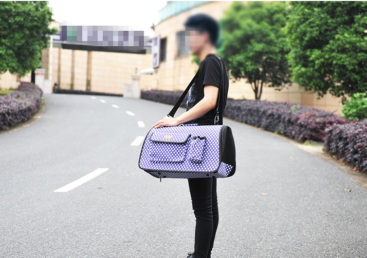 Factory wholesale high quality portable pet travel bag tote bag pet carrier