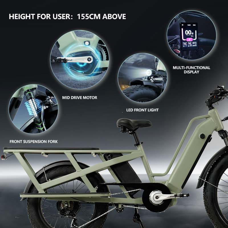 Electric Bike Dual Battery Cargo Ebike Fat Tire Electric Bike, Step Through Electric Bike for Carrying Passenger or Kids