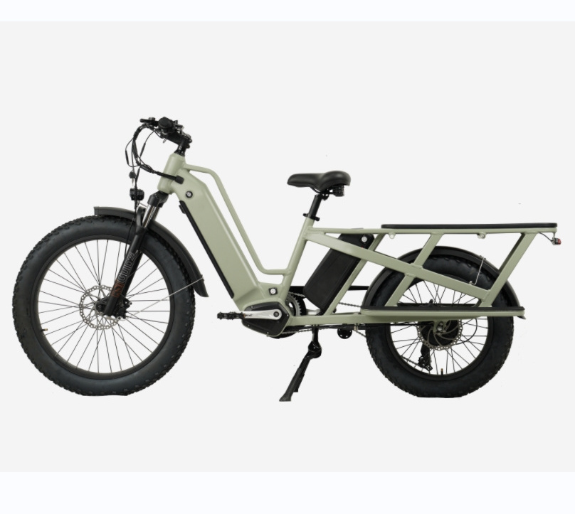 Electric Bike Dual Battery Cargo Ebike Fat Tire Electric Bike, Step Through Electric Bike for Carrying Passenger or Kids