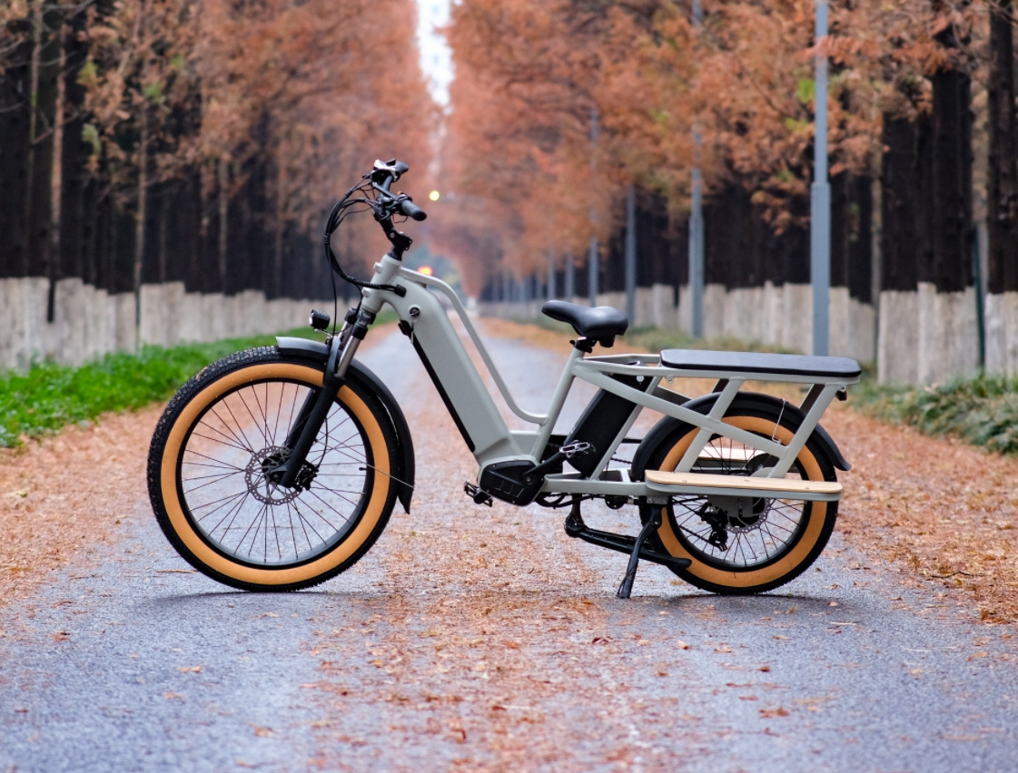 Electric Bike Dual Battery Cargo Ebike Fat Tire Electric Bike, Step Through Electric Bike for Carrying Passenger or Kids