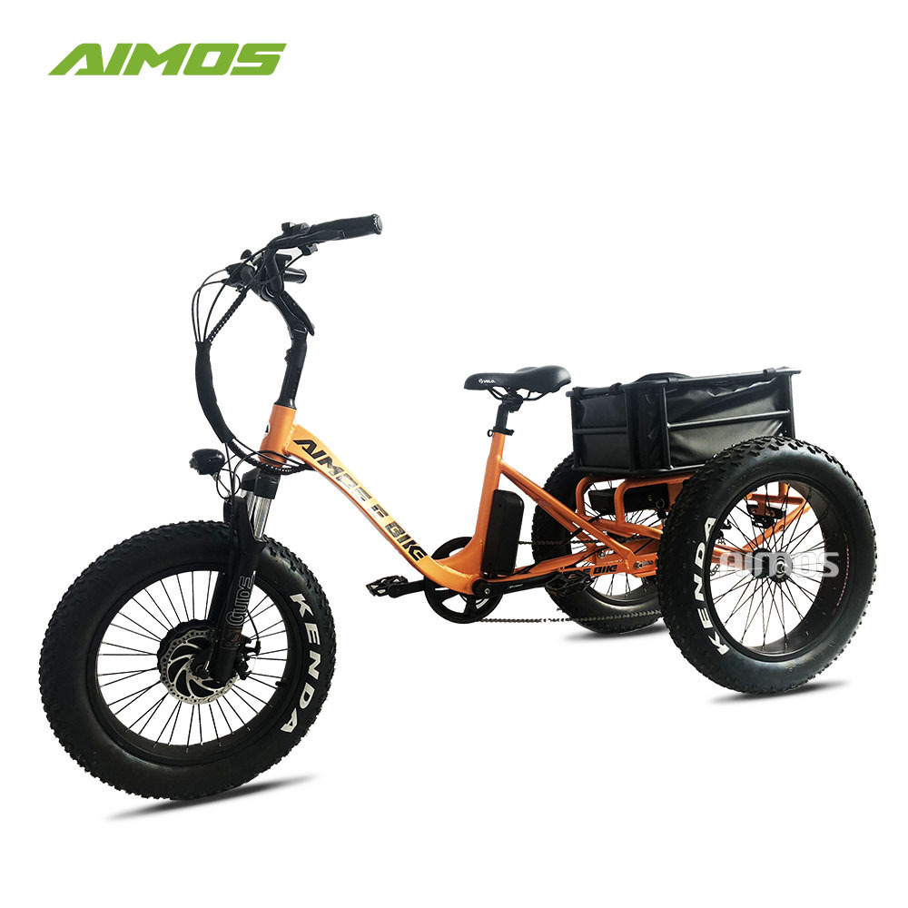 Factory wholesale three wheel ebike mountain electric trike cargo ebike with fat tire