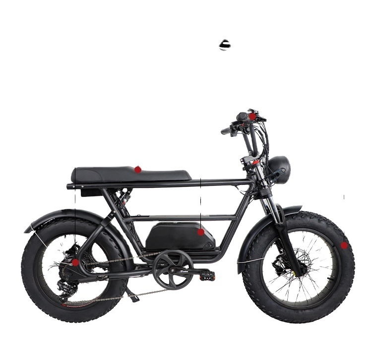 Family Ebike Cargo Torque Sensor Bike Long Tail Electric Bike Max Children Seat Motor Frame Power Battery Style Engine Gears