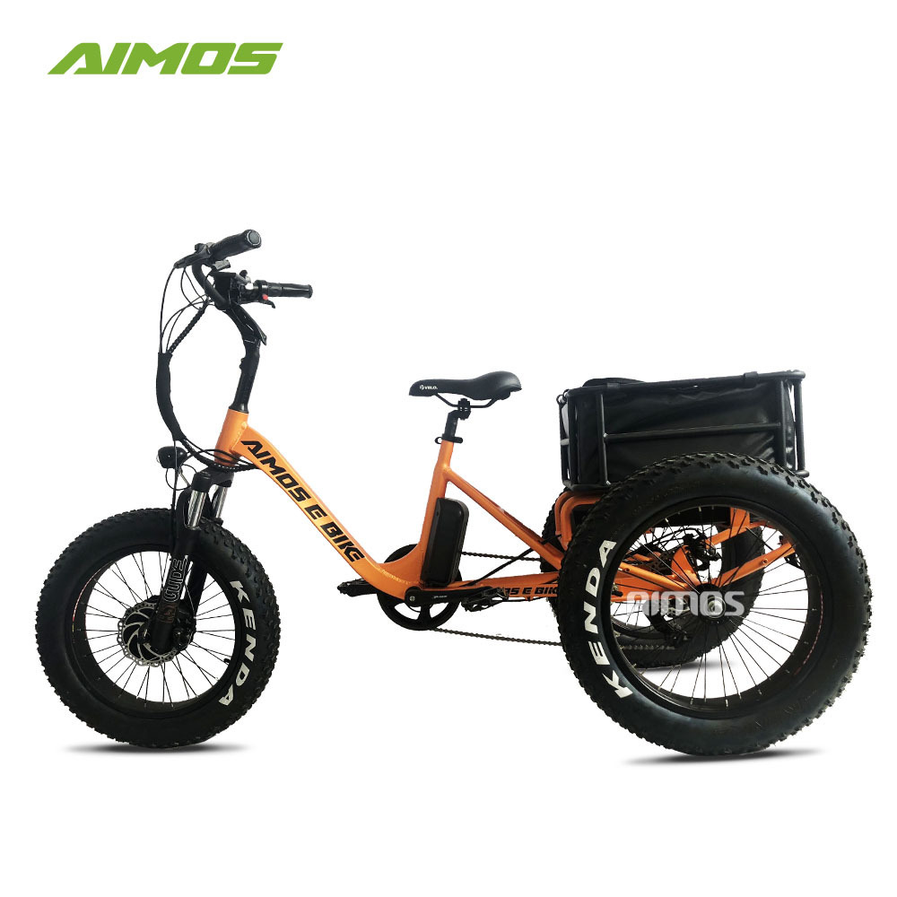 Factory wholesale three wheel ebike mountain electric trike cargo ebike with fat tire