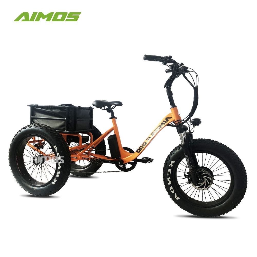 Factory wholesale three wheel ebike mountain electric trike cargo ebike with fat tire