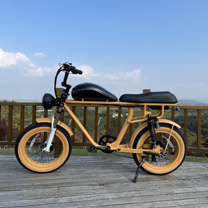 aimos/73 Ebike 750w Retro Chopper Fat Tire Electric Bicycles 125cc Electric Motorbike