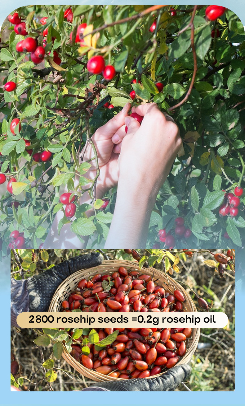 Rosehip Seed Oil USDA Face 100% Pure Organic Carrier Oil for Skin Hair Nails for Gua Sha Massage Face Essential Oil