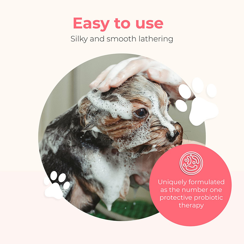 2 In 1 Dog Shampoo And Conditioner Hypoallergenic Dogs Probiotic Shampoo Pet Deodorant Dog Paw Cleaner Productos Para Mascotas