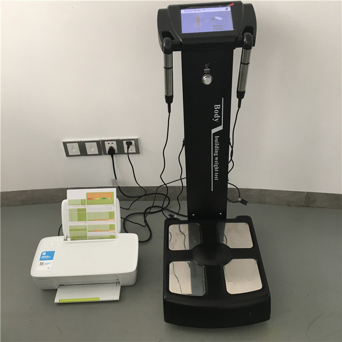 Human body elements composition analyzer beauty equipment/Body composition analyzer fat health body analyzer machine