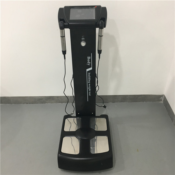 Human body elements composition analyzer beauty equipment/Body composition analyzer fat health body analyzer machine