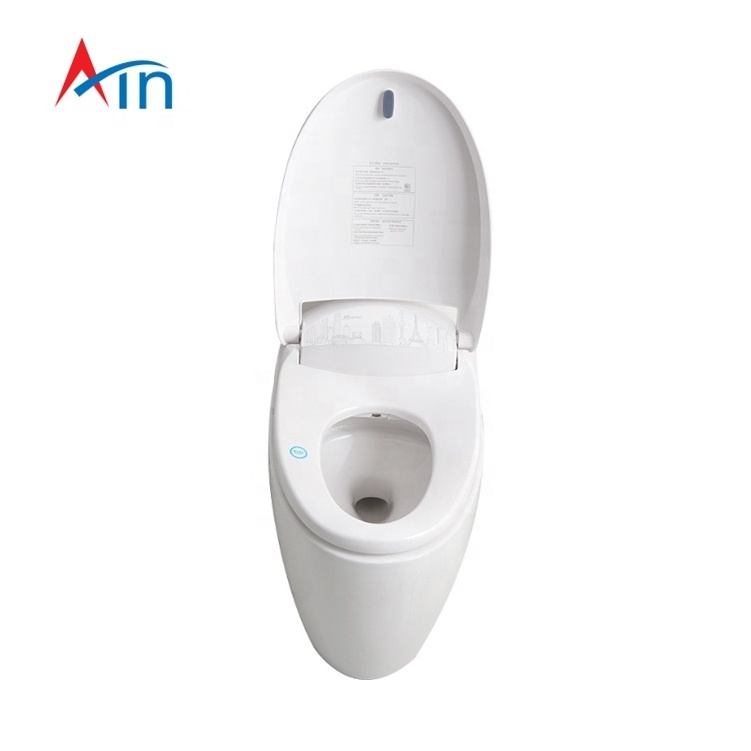 WC toilets sanitary ware australian standard smart intelligent wc toilet water closet