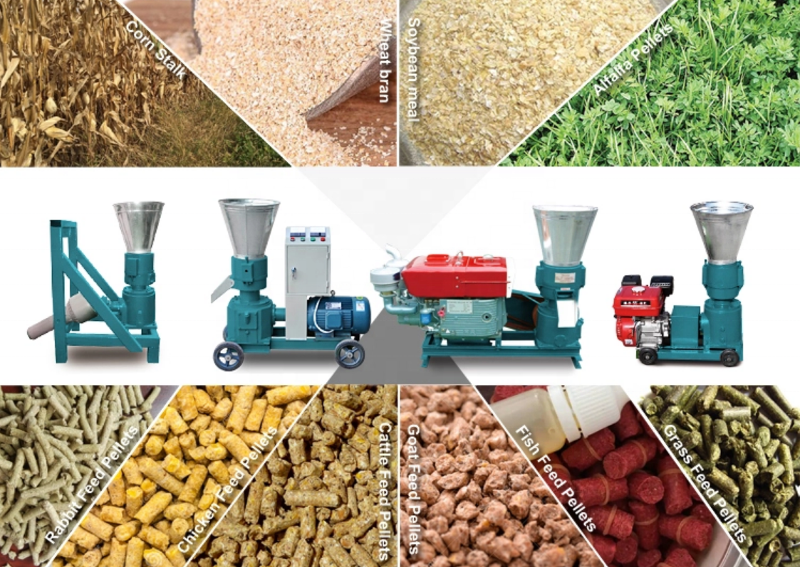 Small Fish Poultry Chicken Food Cow Horse Rabbit animal Feed Pellet Making Machine