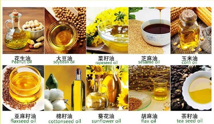 soybean oil machine extra sunflower seed sesame oil pressing small peanut oil press