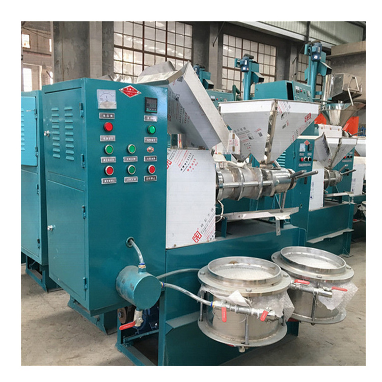 Commercial rapeseed corn sunflower seed sesame soybean Walnut coconut peanut Oil Press Machine