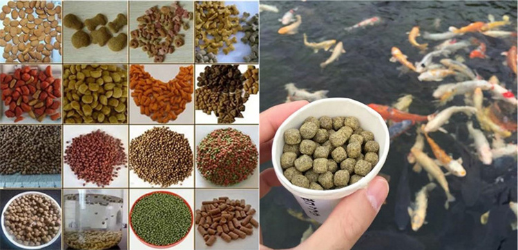 small diesel engine round shape 2mm floating rainbow trout fish feed pellet machine