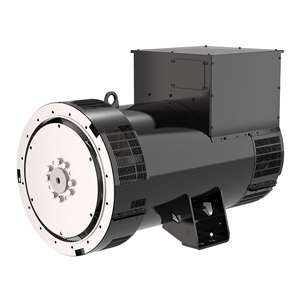 stamford leorysomer 220V 48V alternator 200a low rpm permanent magnet alternator 3kw 10kw 20kw 30kw generator head 1800rpm