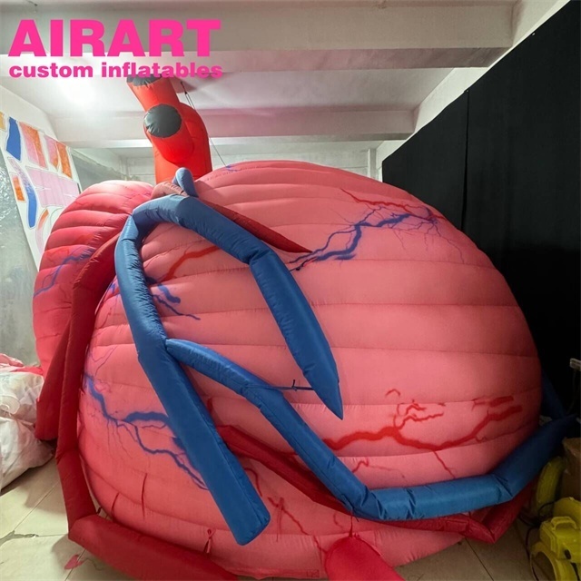 High quality inflatable heart tent inflatable body organ decoration