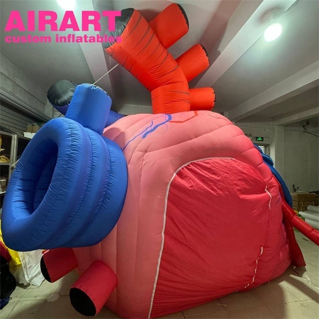 High quality inflatable heart tent inflatable body organ decoration