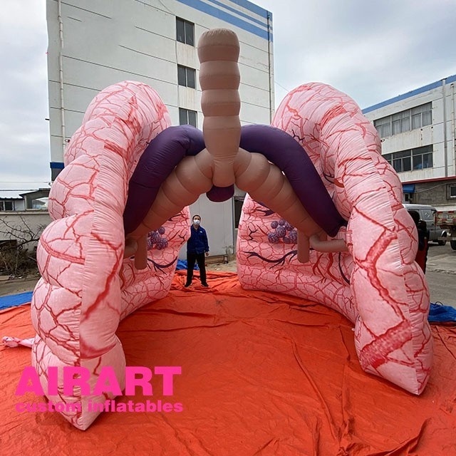 realistic human organ inflatable lungs balloon,air blow up education display large lung balloon