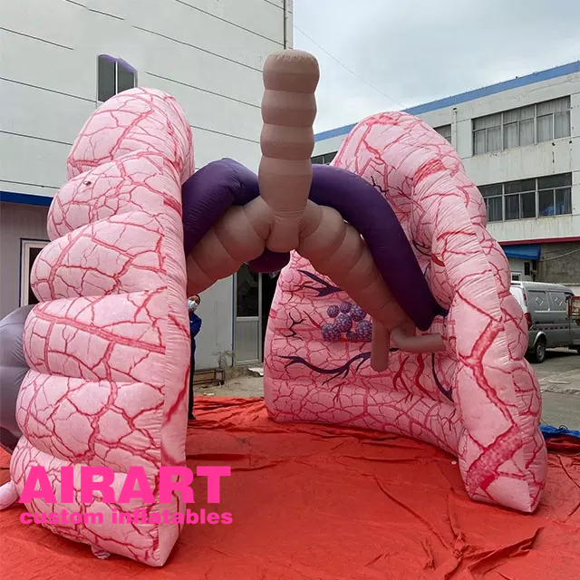 realistic human organ inflatable lungs balloon,air blow up education display large lung balloon