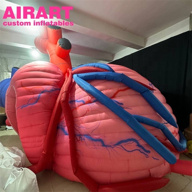 High quality inflatable heart tent inflatable body organ decoration