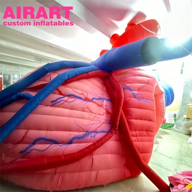 High quality inflatable heart tent inflatable body organ decoration