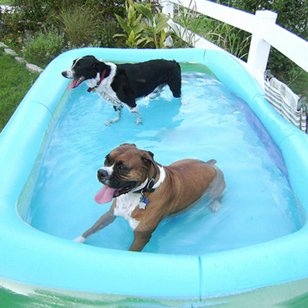 customized style pvc summer swimming pool inflatable dog pool