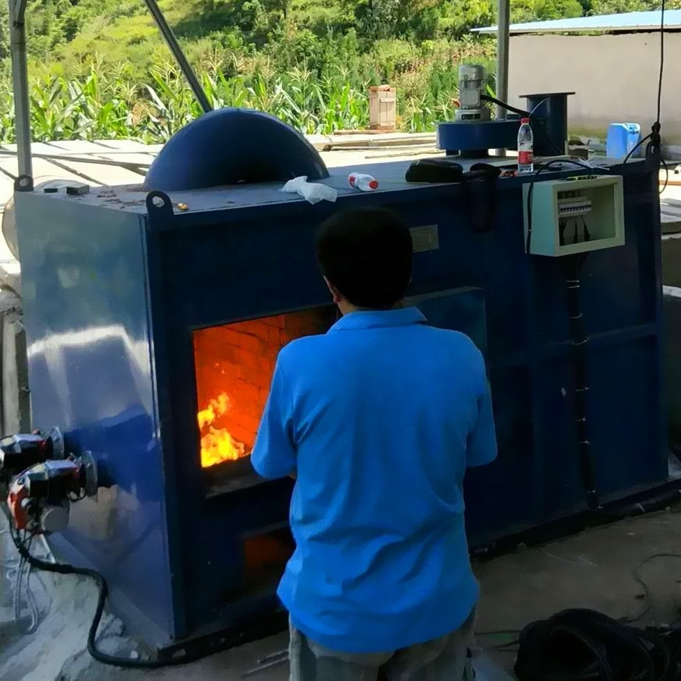 Waste Treatment Machinery Customized High Temperature Smokeless harmless hazardous infectious disposal Medical solid Waste Treatment Incinerator Machine incinerator cremation machine