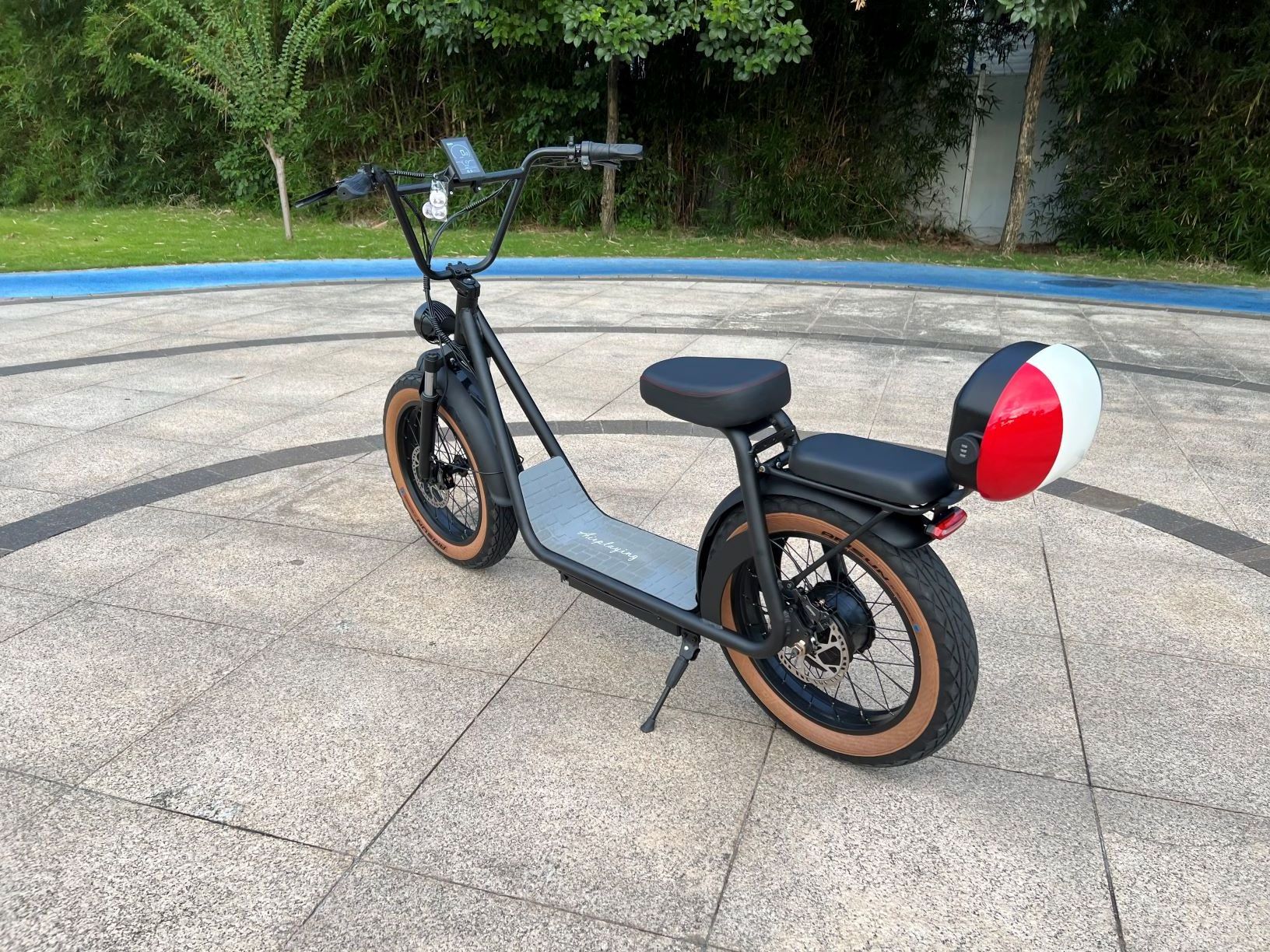 2023 electric cargo bike 1000w 48v 20/25/30AH removable battery electric moped/loading electric bicycle with pedals