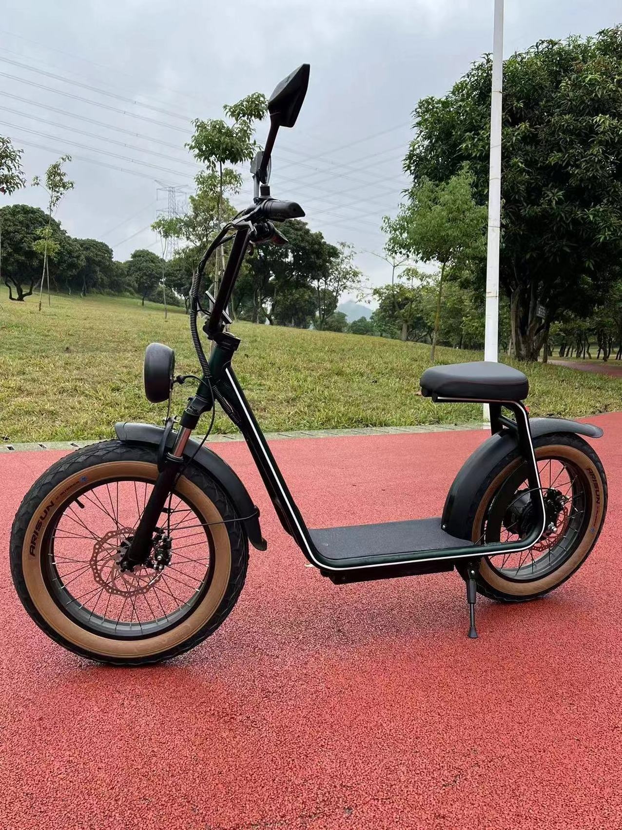 High Speed Mobility Scooters 48V 1000W Folding E-bike Adult 20Ah IP54 Bicycle 20inch Bmx Fat Tire Electric Bike Scooter