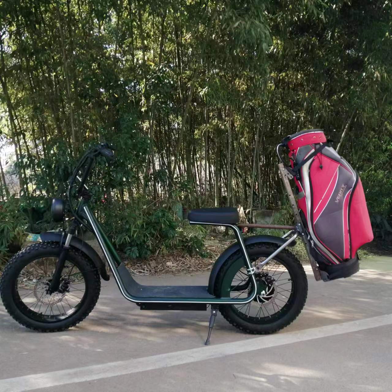 High Speed Mobility Scooters 48V 1000W Folding E-bike Adult 20Ah IP54 Bicycle 20inch Bmx Fat Tire Electric Bike Scooter