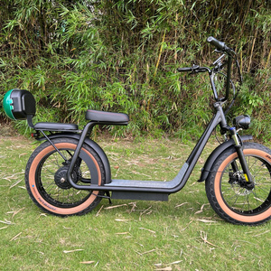 2023 electric cargo bike 1000w 48v 20/25/30AH removable battery electric moped/loading electric bicycle with pedals