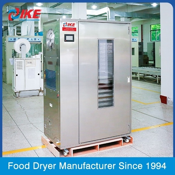 IKE manufacturers hot sale fruit and vegetable processing dryer commercial heat pump dryer