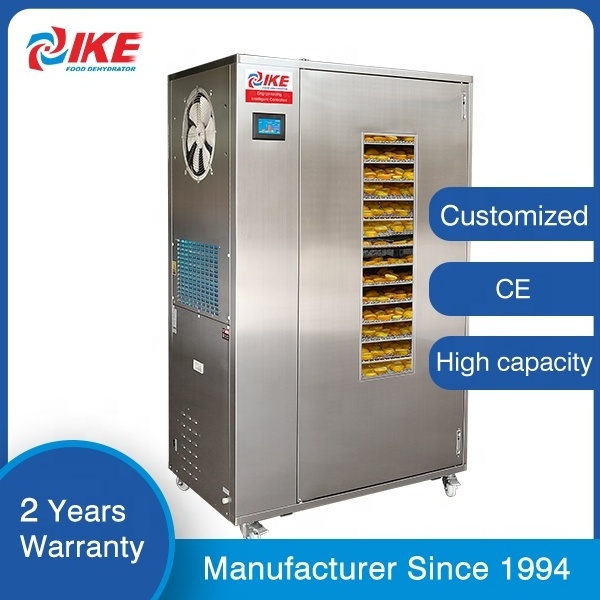 IKE manufacturers hot sale fruit and vegetable processing dryer commercial heat pump dryer